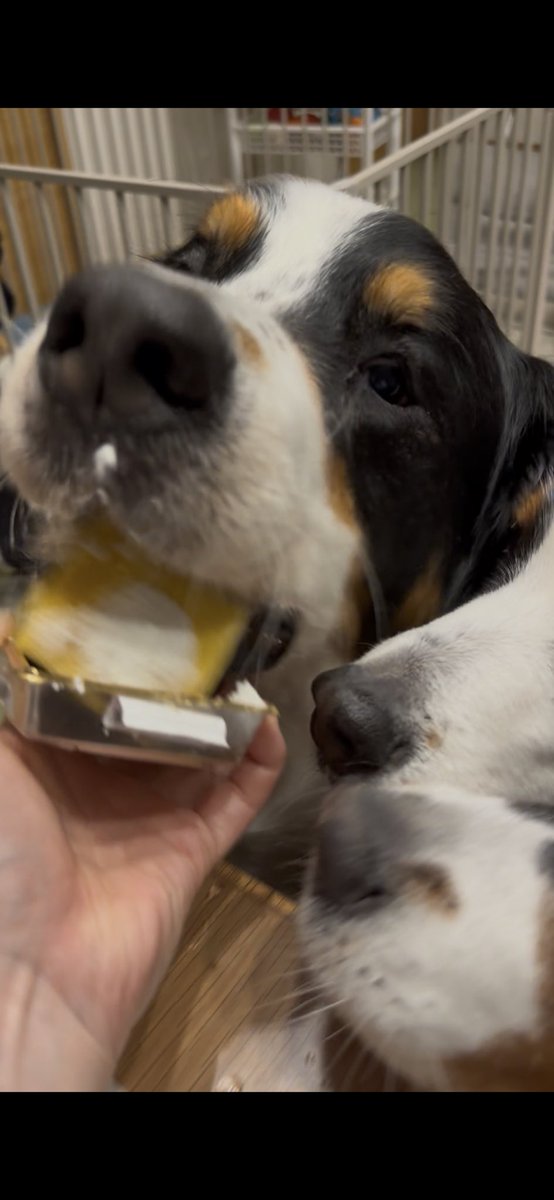 みにまむ tweet media