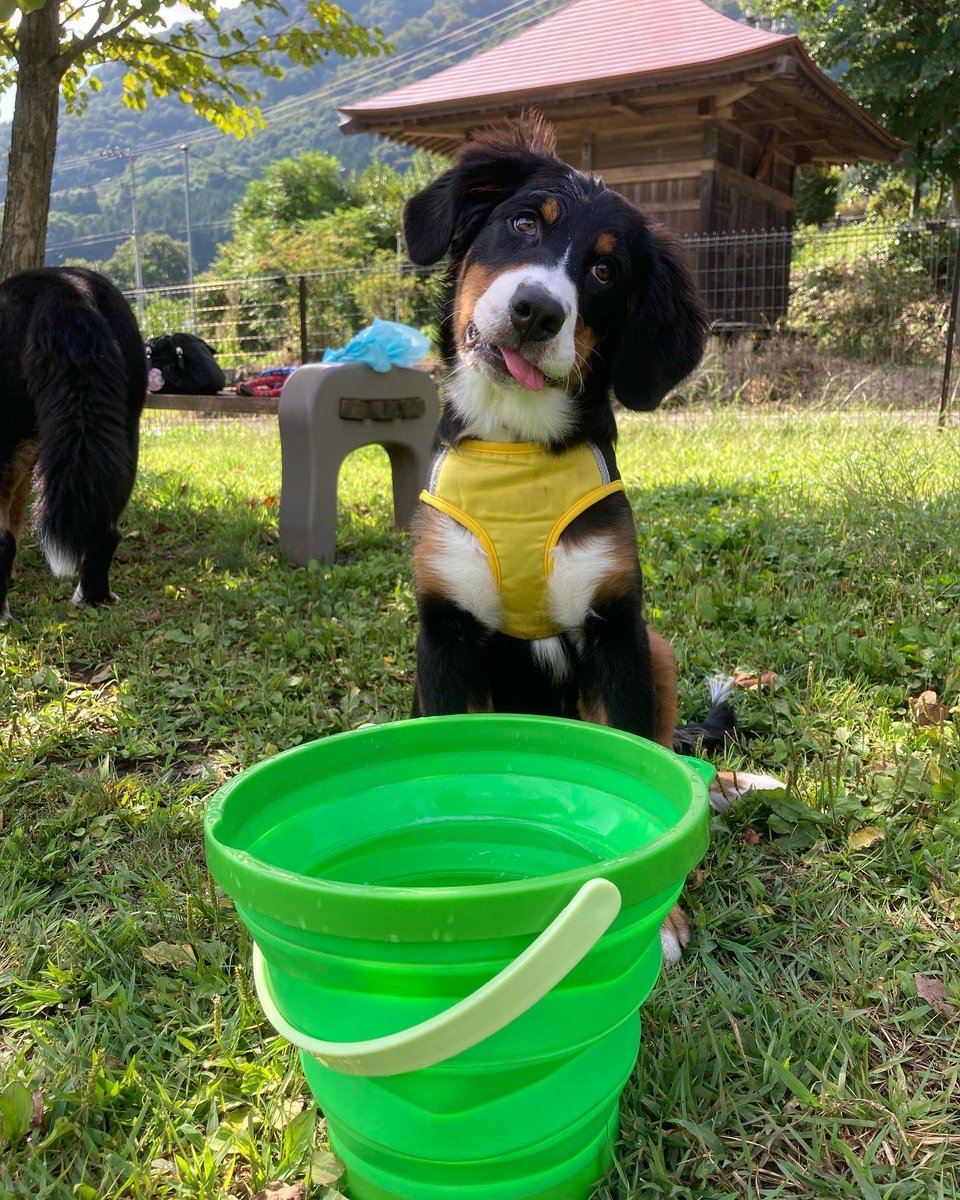 みにまむ tweet media