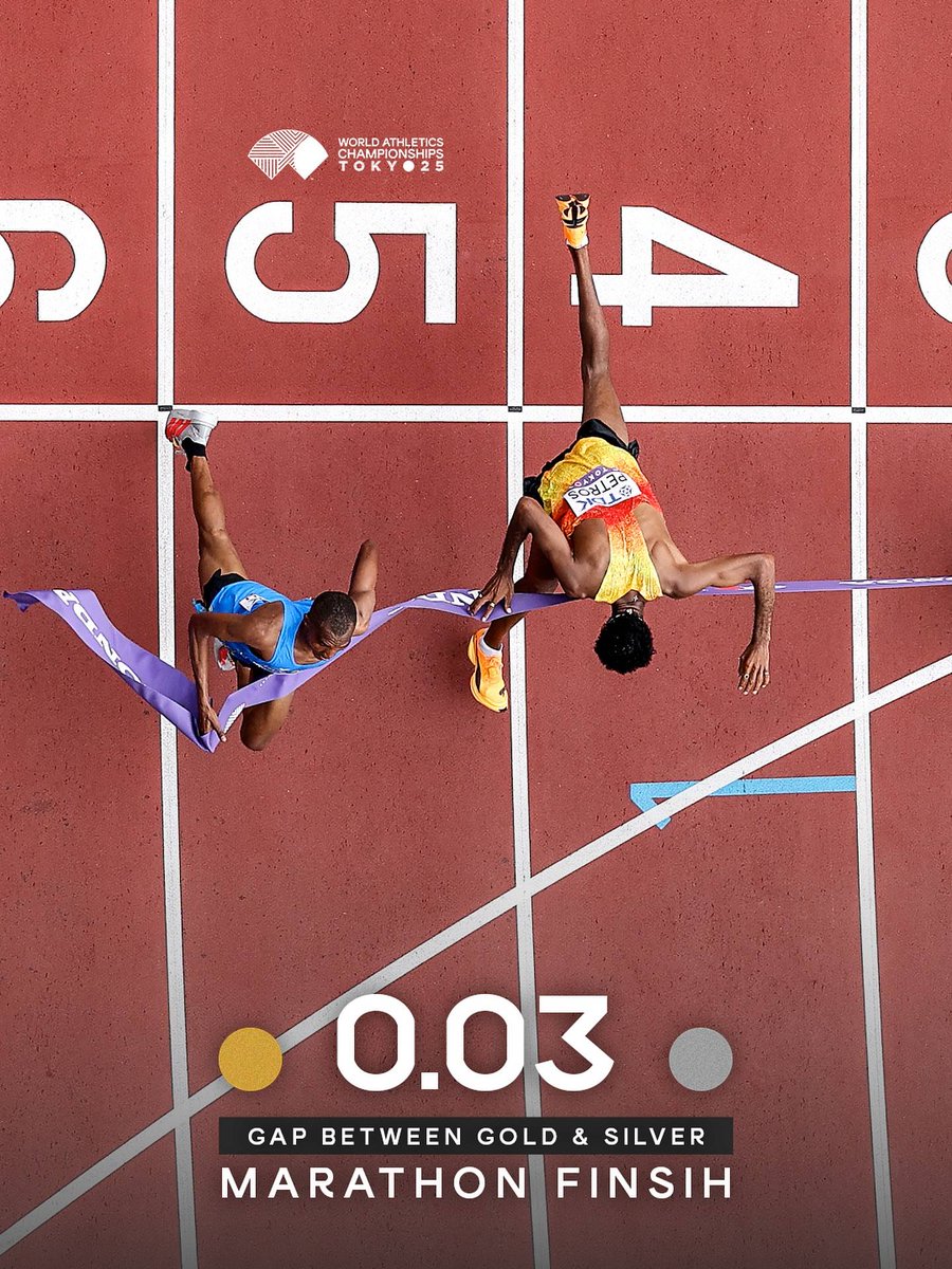 きばらがめ tweet media