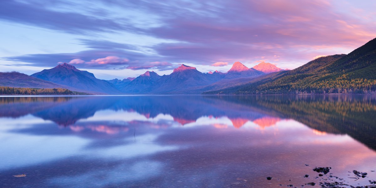 Hasselblad tweet media