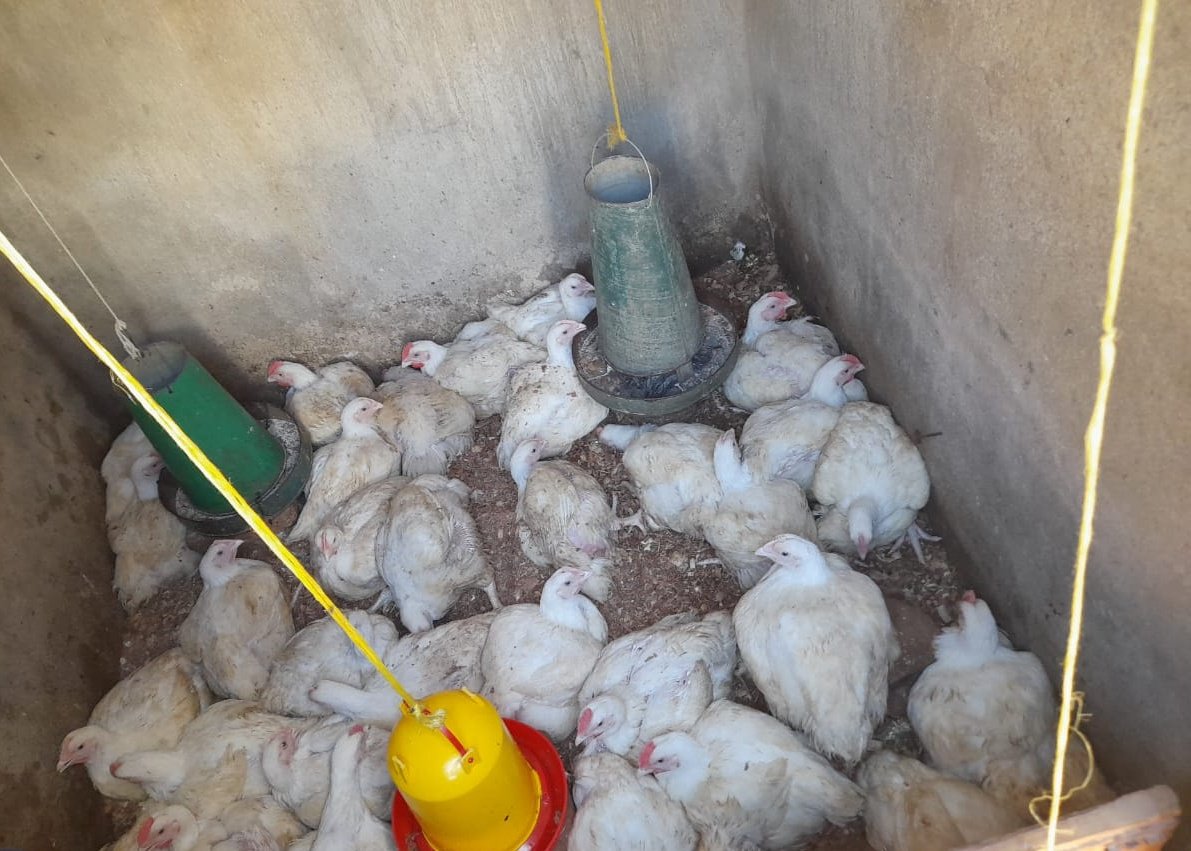 ANZOW FRANK💊💉 tweet media