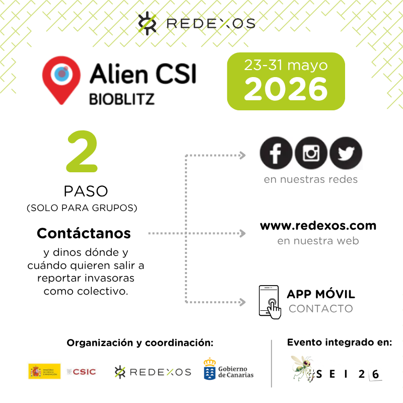 RedEXOSGobcan's tweet photo. Si quieres participar de forma colectiva, escríbenos por aquí, desde la app o a través de nuestra web (https://t.co/YU95jGCTh2) para indicarnos dónde y cuándo quieres salir con tu grupo a reportar invasoras. ¡¡Te esperamos!! https://t.co/u6gZGg05jF