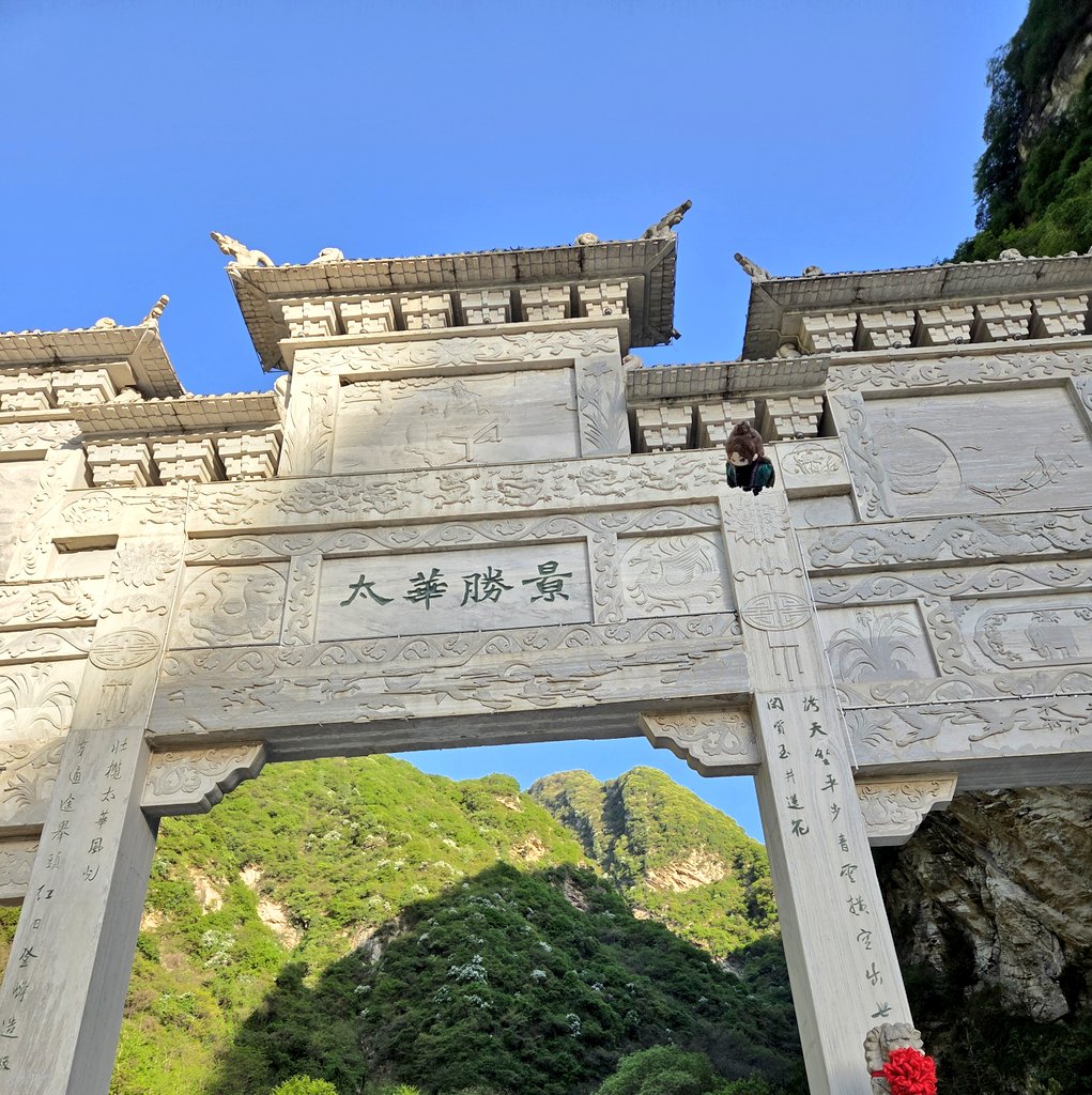 📺루카🐍 tweet media