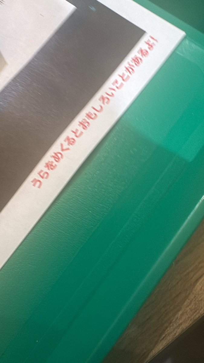 よう、相棒。元気にやってるか？
あの頃の俺たちは毎日バカばっかやってるしょうもないガキだったよな。
お前は今頃どんな大人になってるかな。
俺は人目を気にしてこれをめくることも出来ない、しょうもない大人になっちまったよ。