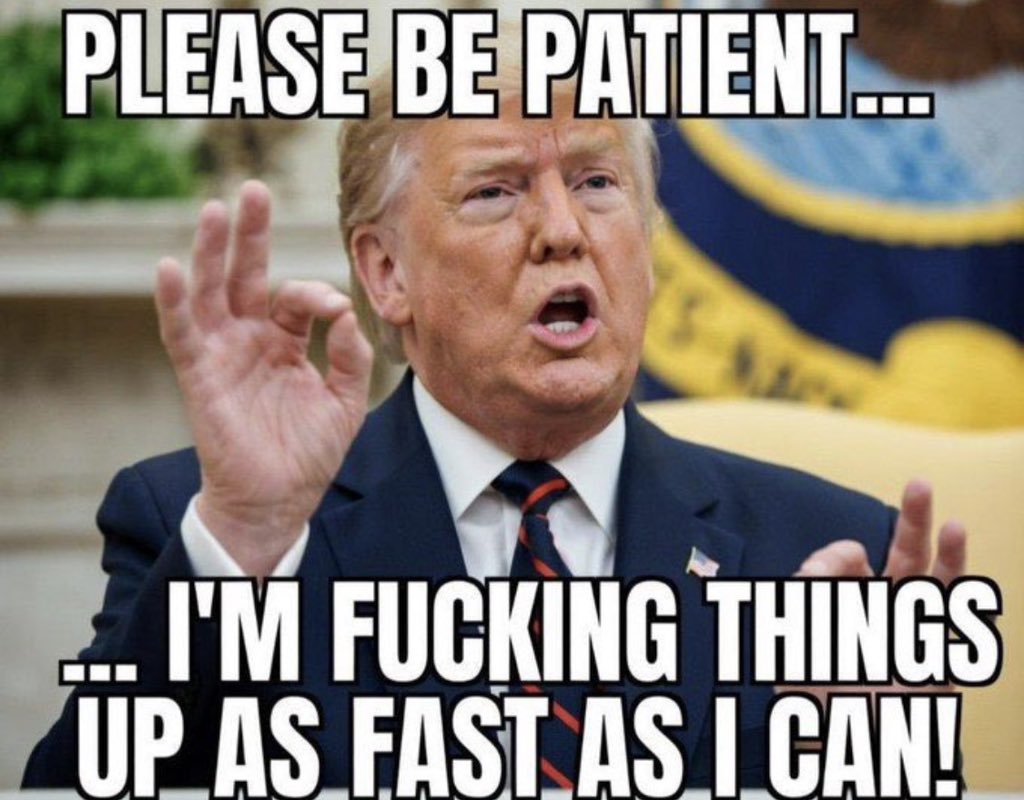 DanC ₿ tweet media