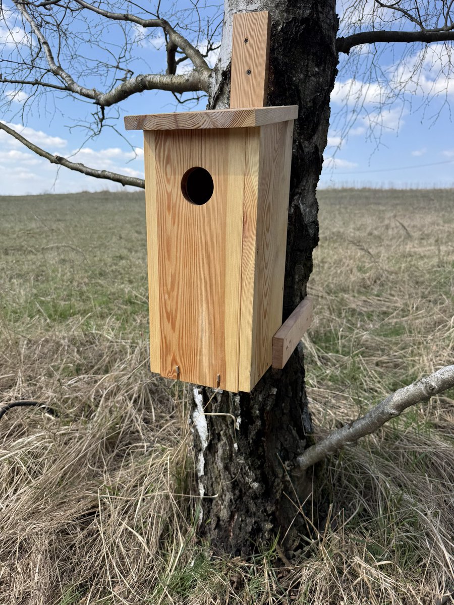 rrobertn 🇵🇱 tweet media