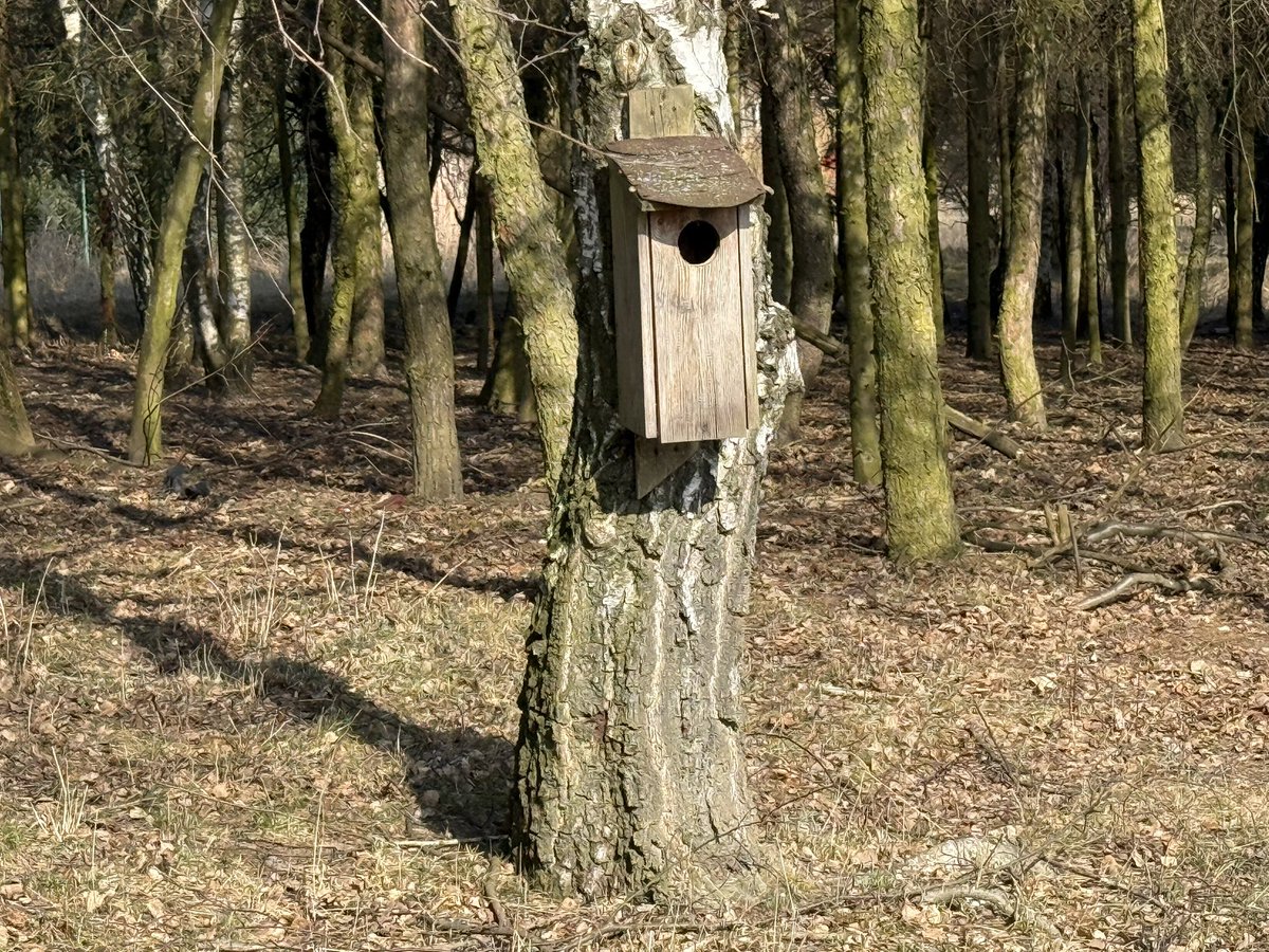 rrobertn 🇵🇱 tweet media