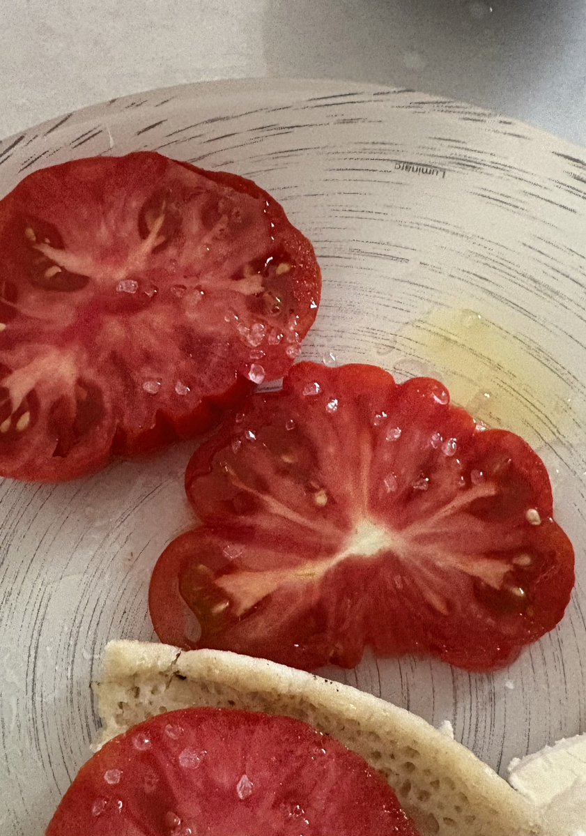 עדן המלכה tweet media