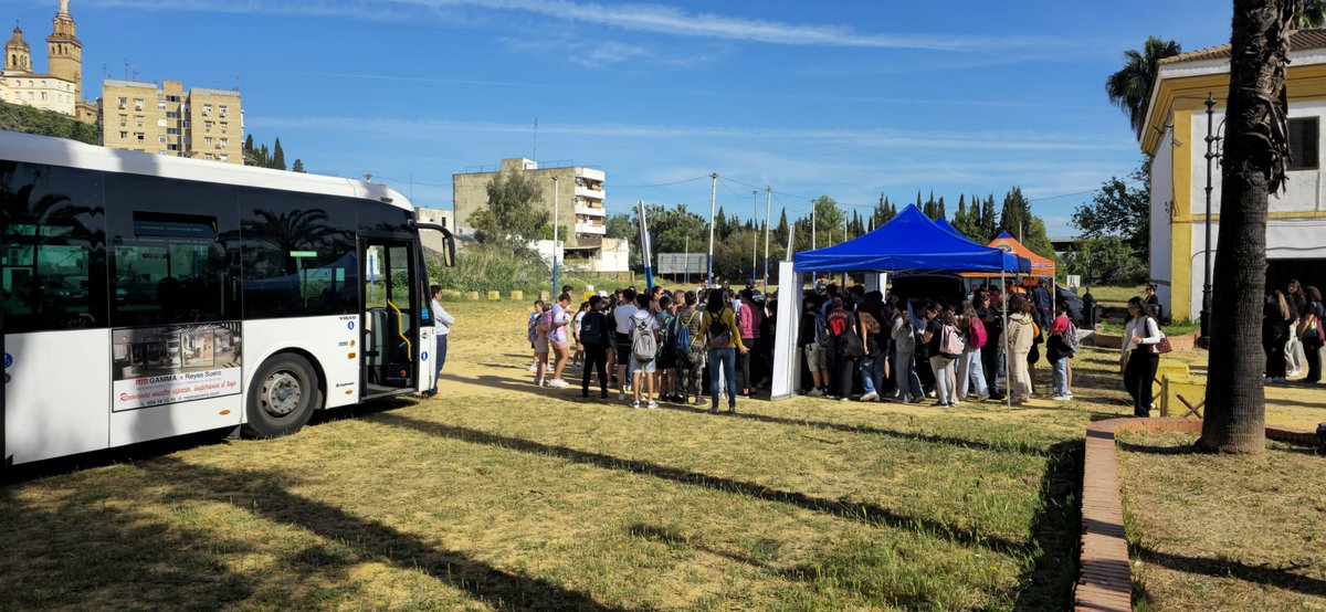 Tranvias de Sevilla tweet media