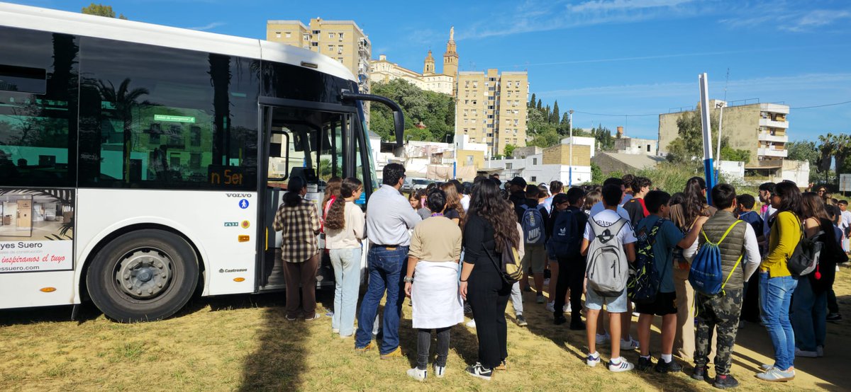Tranvias de Sevilla tweet media