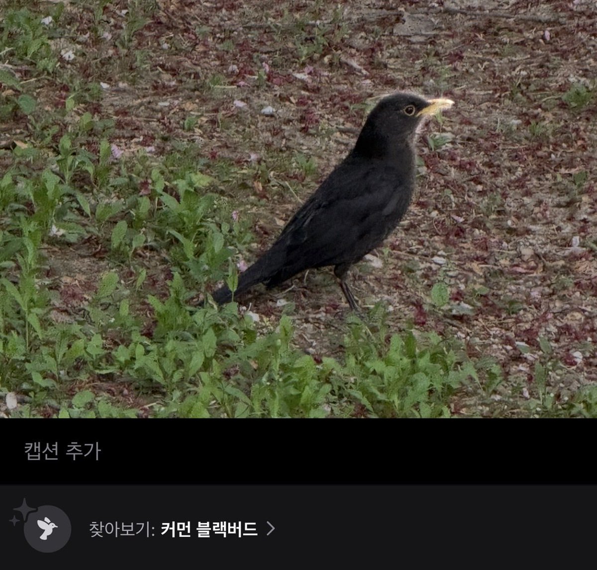 백수의왕박죽 tweet media