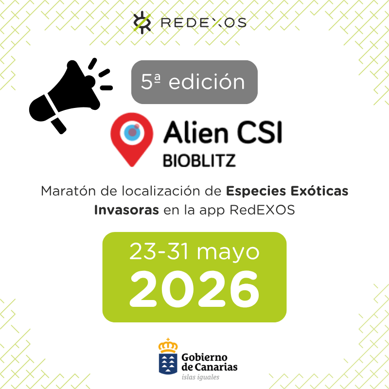 RedEXOSGobcan's tweet photo. ¡Vuelve el #AlienCSIBioblitz en Canarias! Del 23 al 31 de mayo se celebrará la quinta edición de nuestro evento de voluntariado, integrado en la #SEI2026 (Semana sobre Especies Invasoras Portugal y España) https://t.co/5GakzYQupd