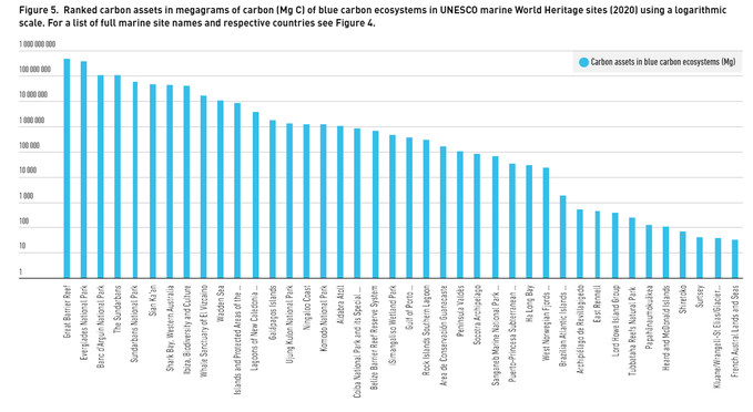 CeoAwareness's tweet image. These 3 World Heritage marine sites store billions of tonnes of CO2 @UNESCO @WEFUpLink wef.ch/3t3Od5K #ClimateChange #oceans
rt @wef