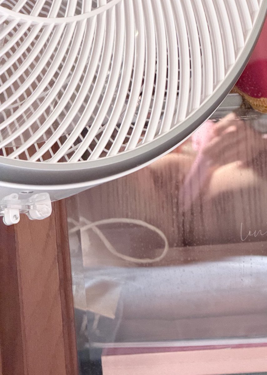 ชื่อ ไข่หวาน tweet media