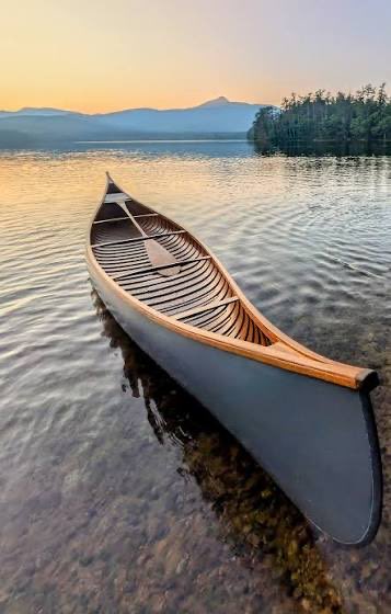 Cynaegeirus_Exp tweet media