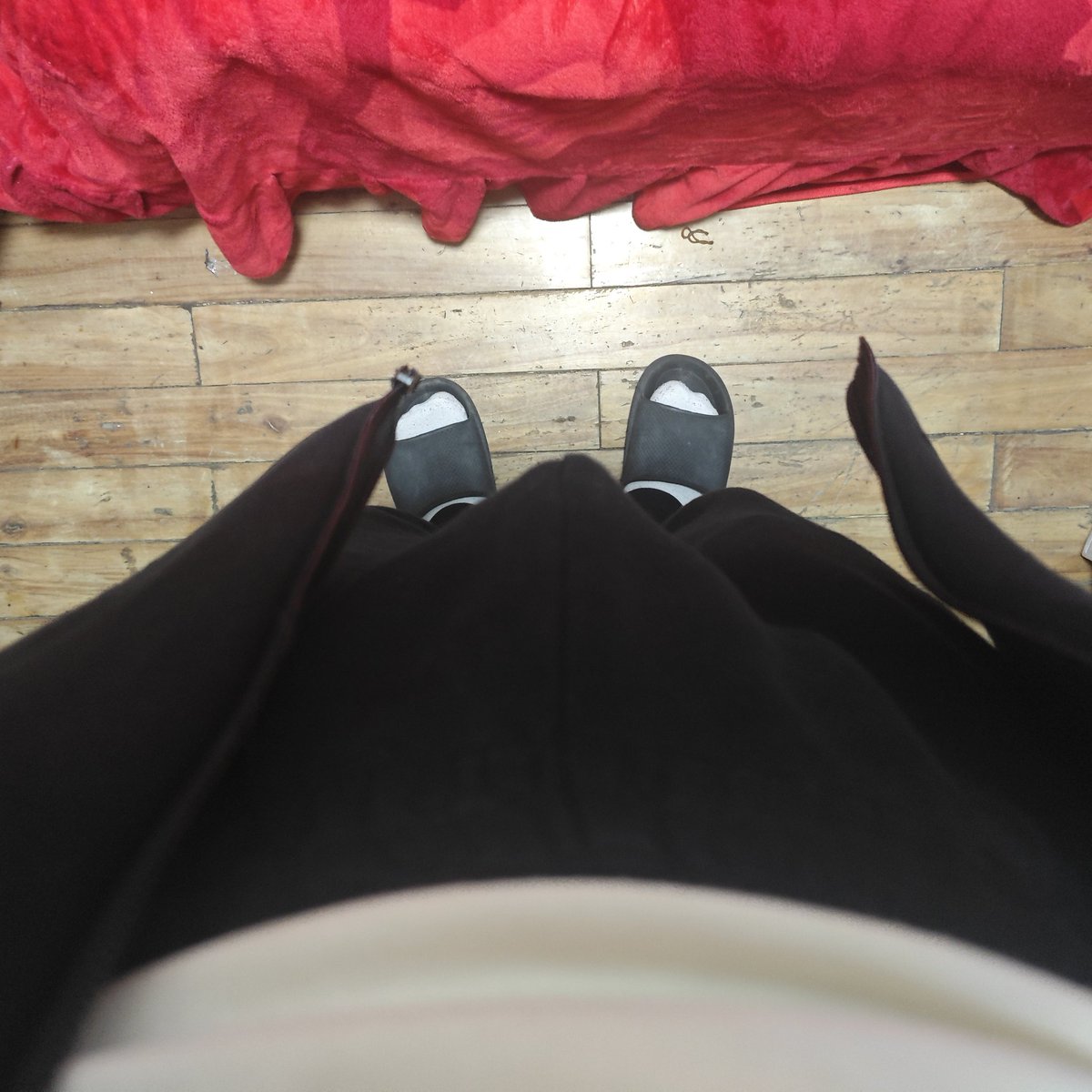 halun991218 tweet media