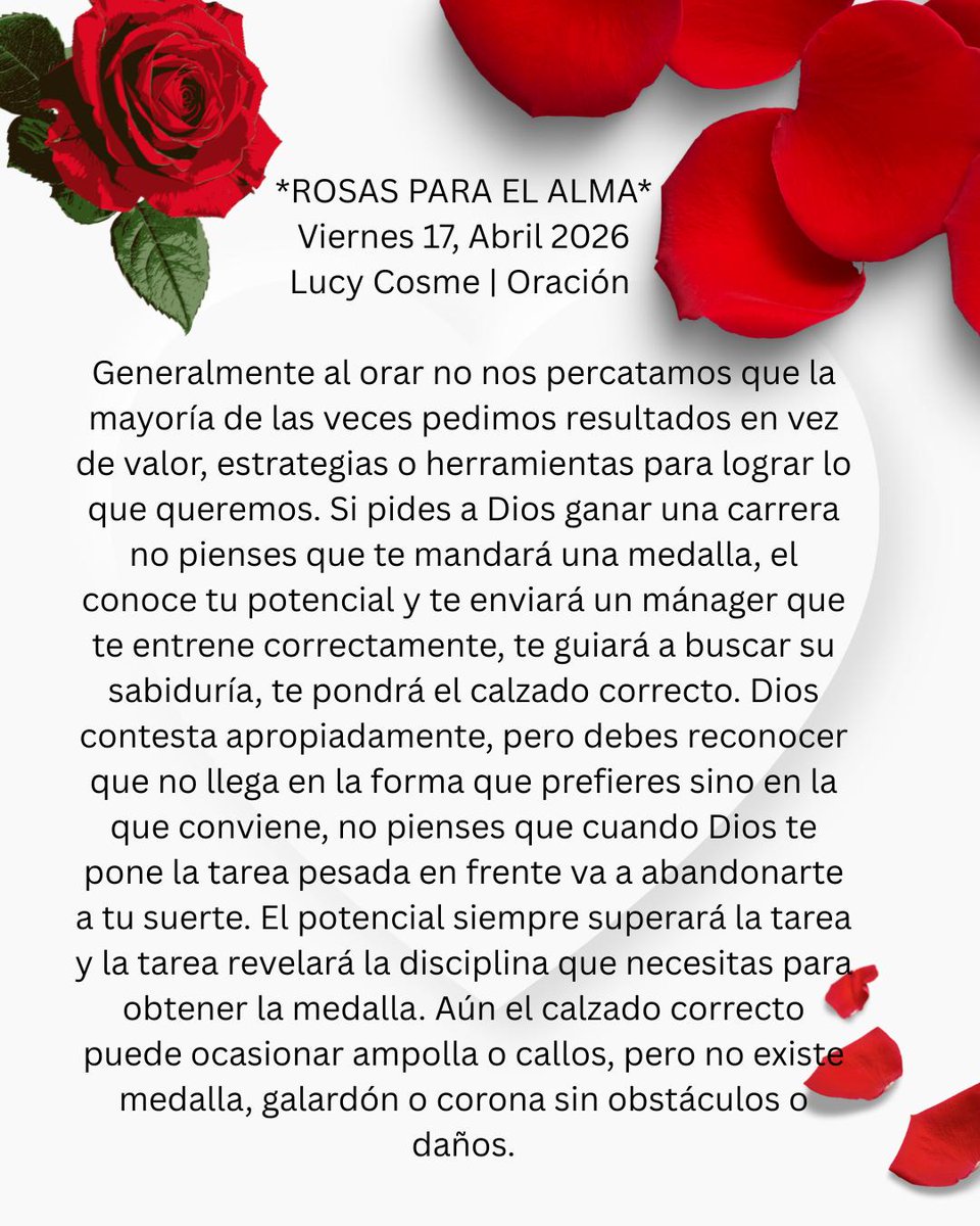 Juan Rodriguez tweet media