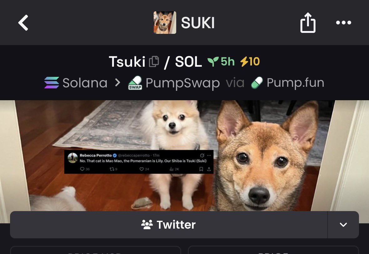 shtuff mane tweet media