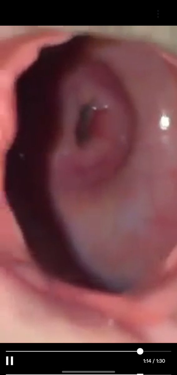 @KELVIDOO_TZ tweet media