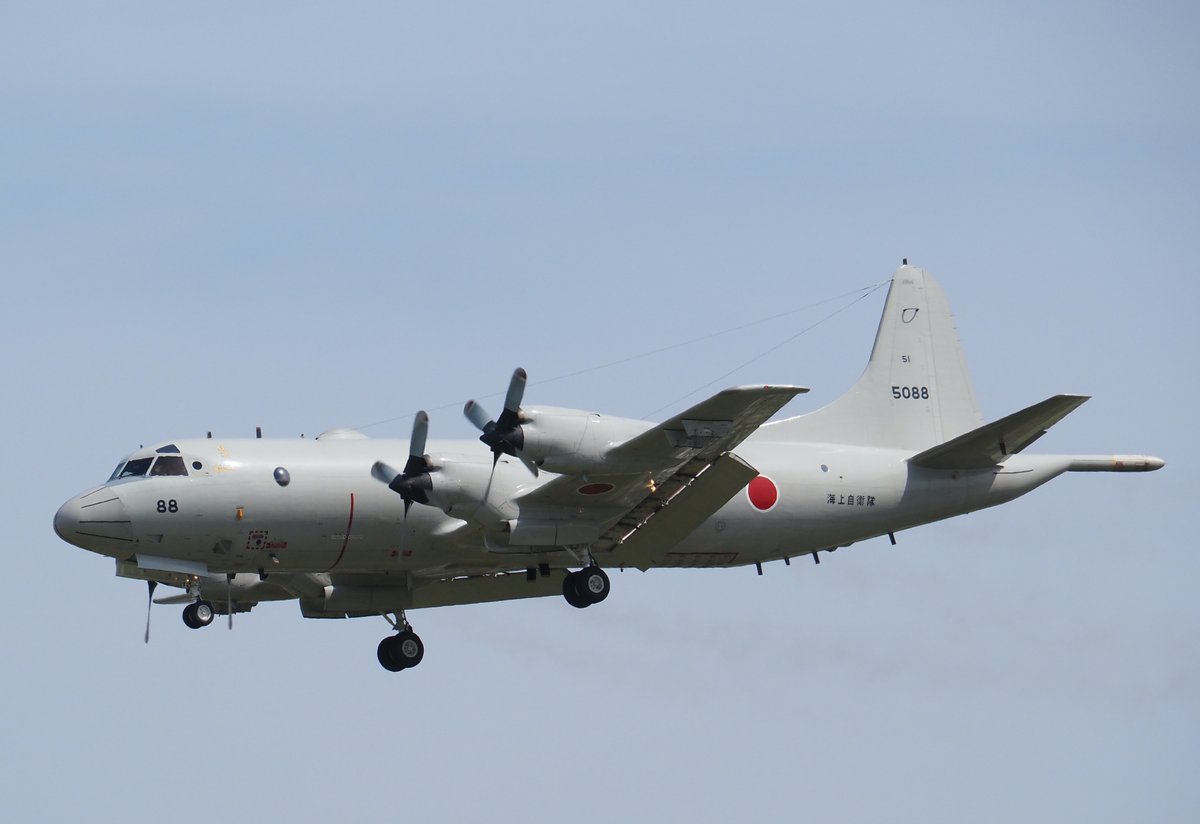 ほしかす tweet media