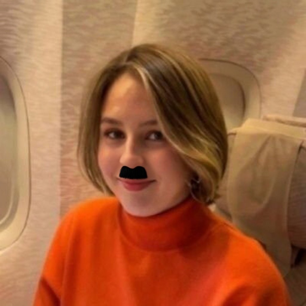 Falcarius tweet media