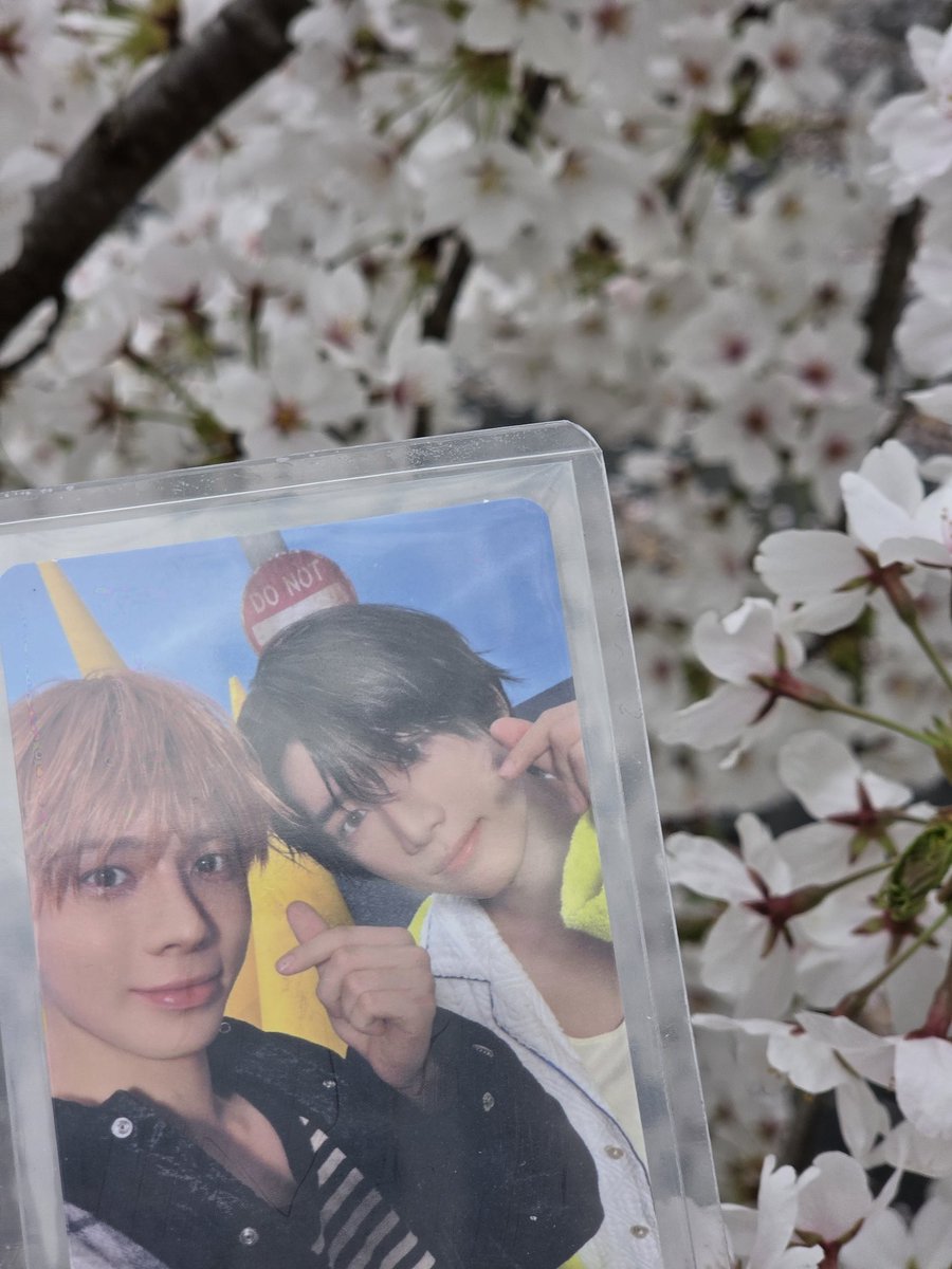 𝑀𝐼𝑍𝑈*🧸🐿 tweet media