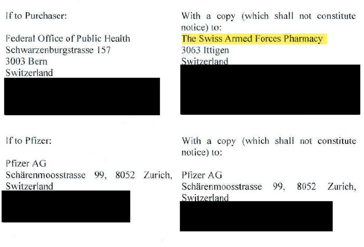 Sabine Stebel 🐝🐭 tweet media