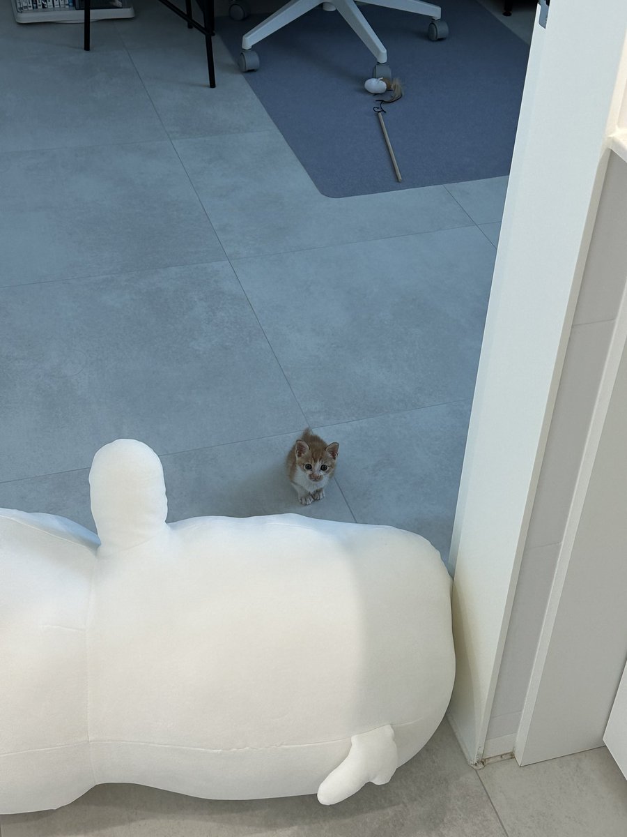 감자고의 스타일기✨️ tweet media