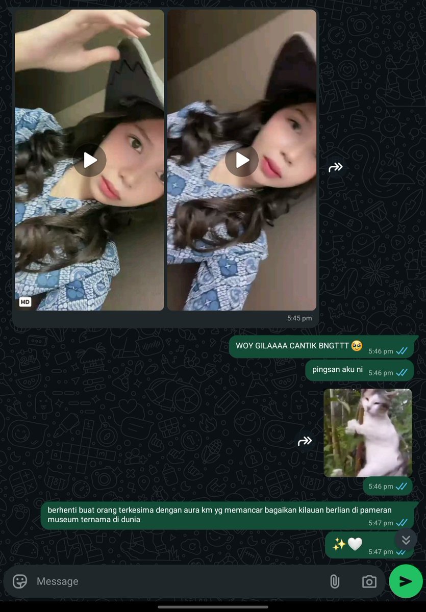 killer ayam tweet media