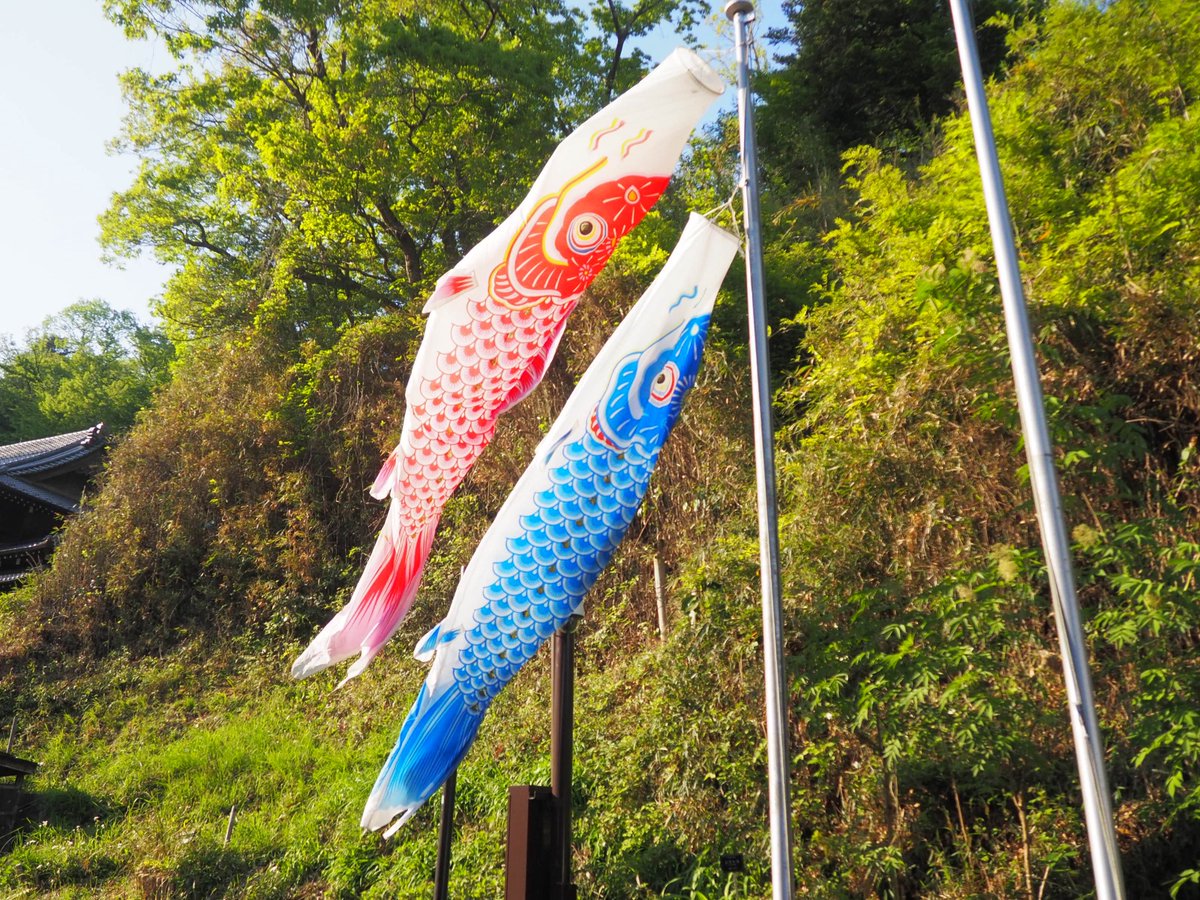 門脇☀️🐸🥕 tweet media