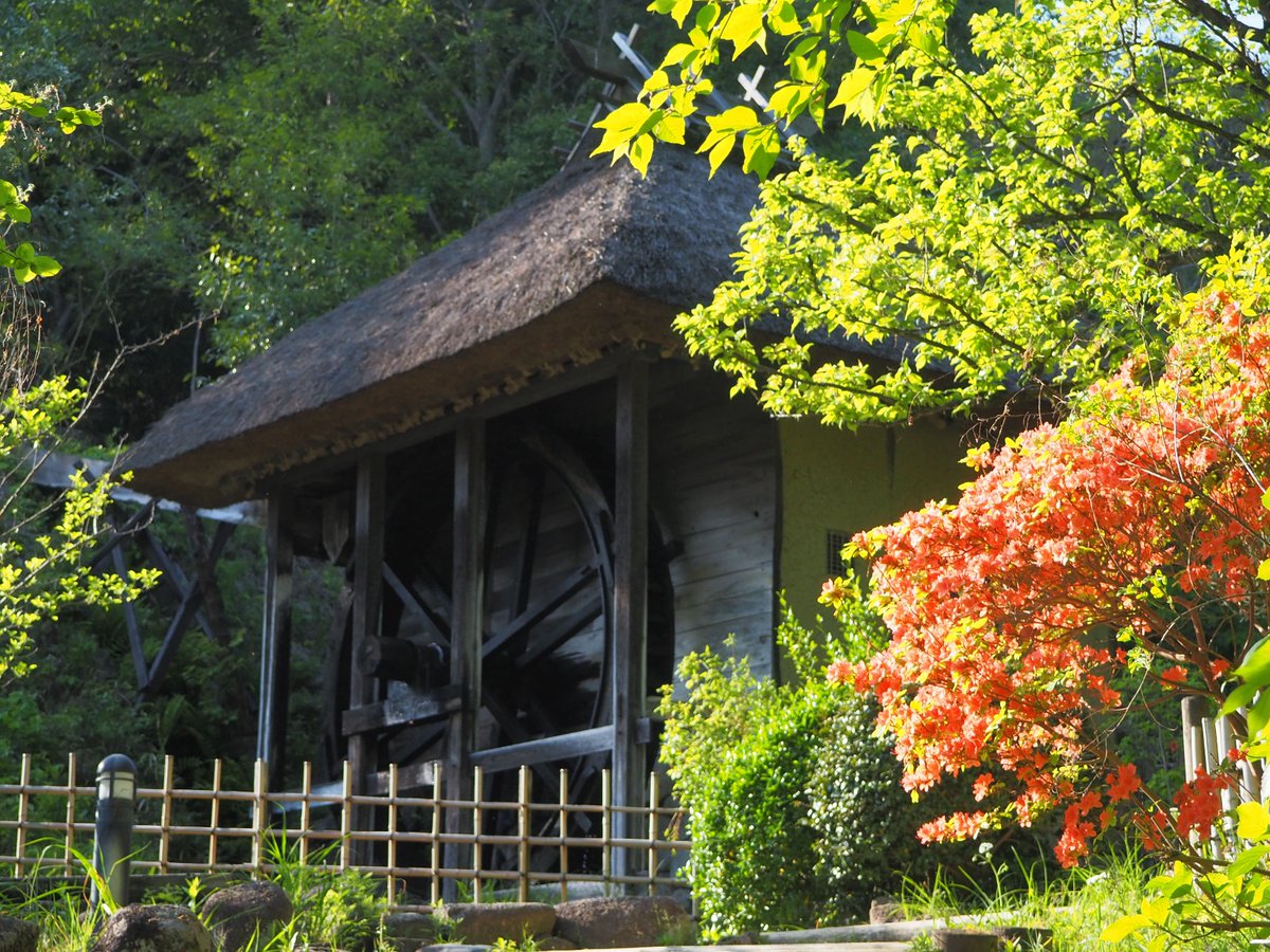 門脇☀️🐸🥕 tweet media