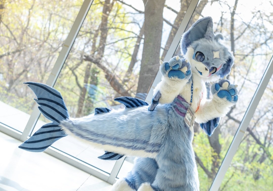 🧂소금친고등어 salt mackerel🐟 tweet media