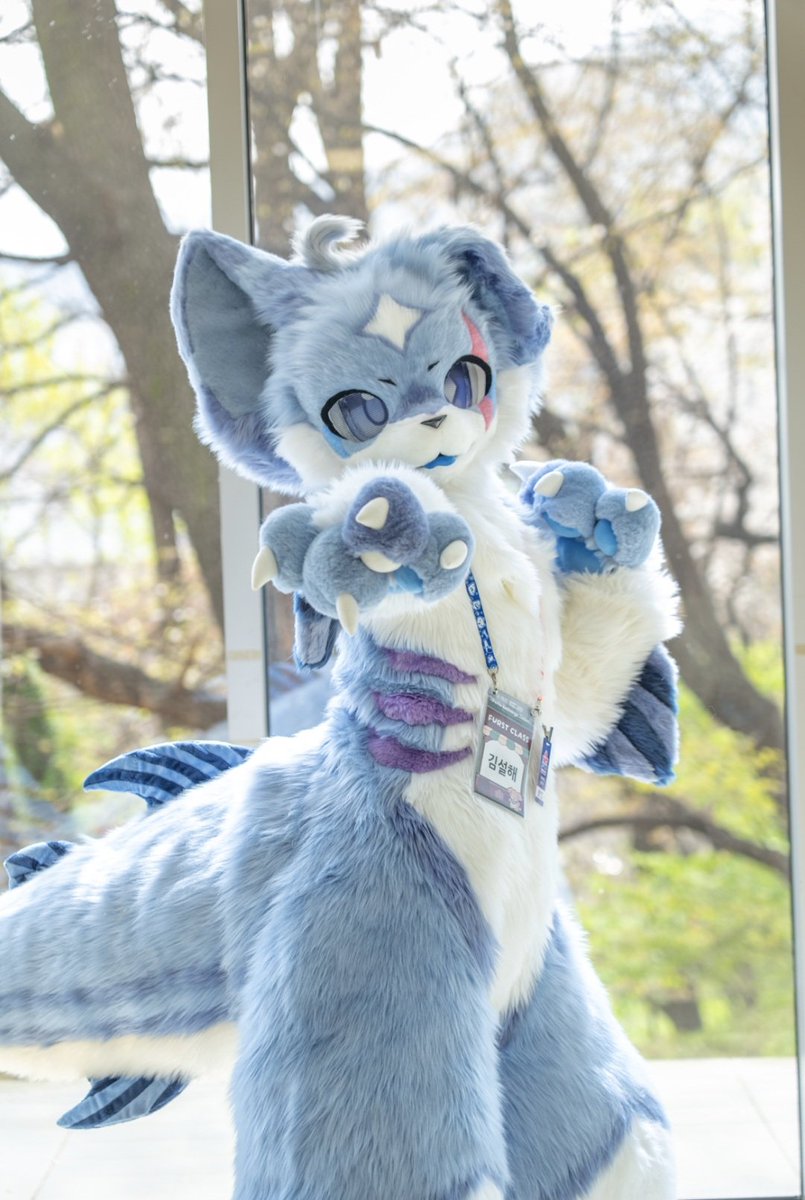 🧂소금친고등어 salt mackerel🐟 tweet media