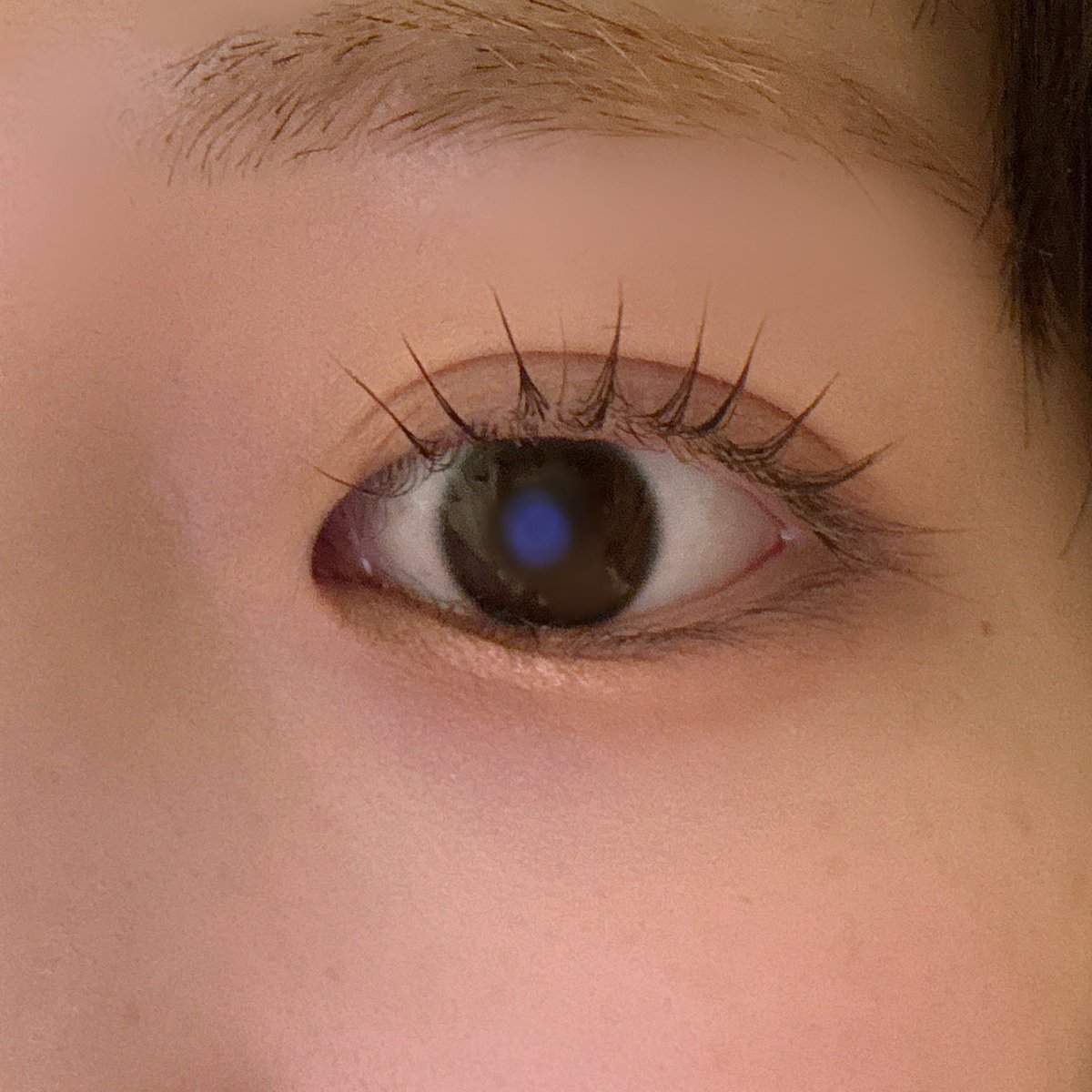 百々🐰┋𝐜𝐨𝐬𝐦𝐞 tweet media