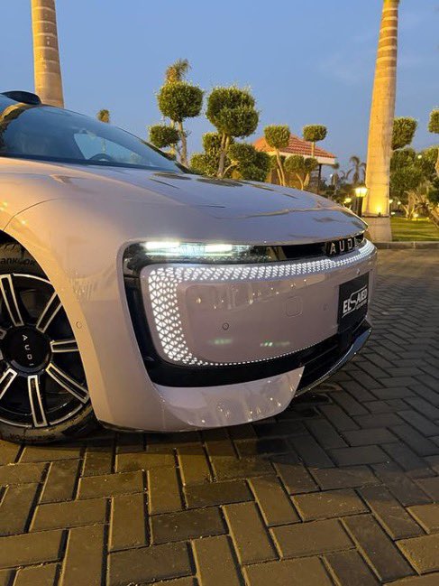 GallusWen tweet media