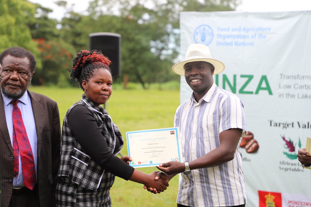 FAO in Kenya tweet media
