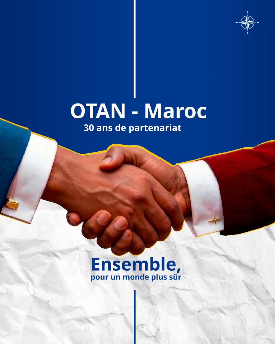 OTAN en français tweet media