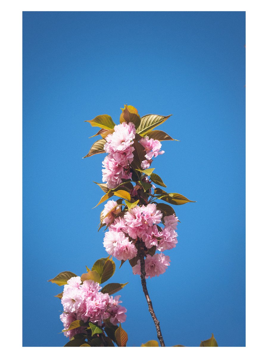 Yamato Takahide 大和貴英 tweet media