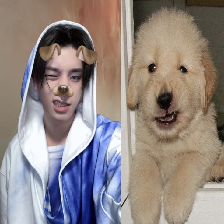 Faty_EnhypEN⁷ tweet media