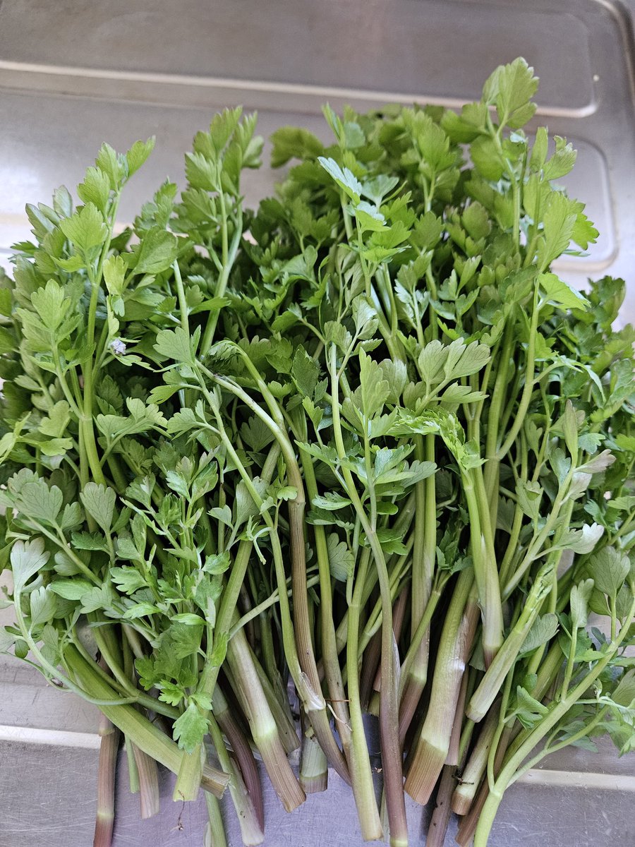 あんどれあ tweet media