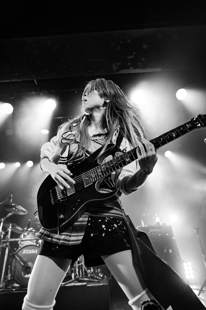 NEMOPHILA tweet media