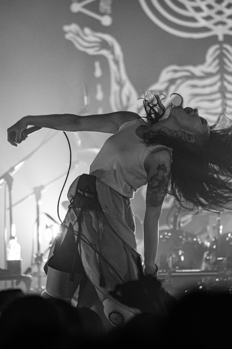 NEMOPHILA tweet media