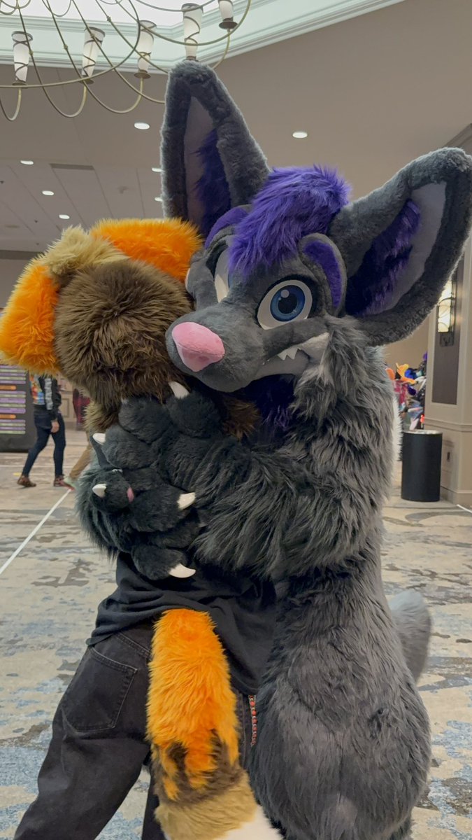 Hugz N. Snugz 🔜 Anthrocon 2026 tweet media