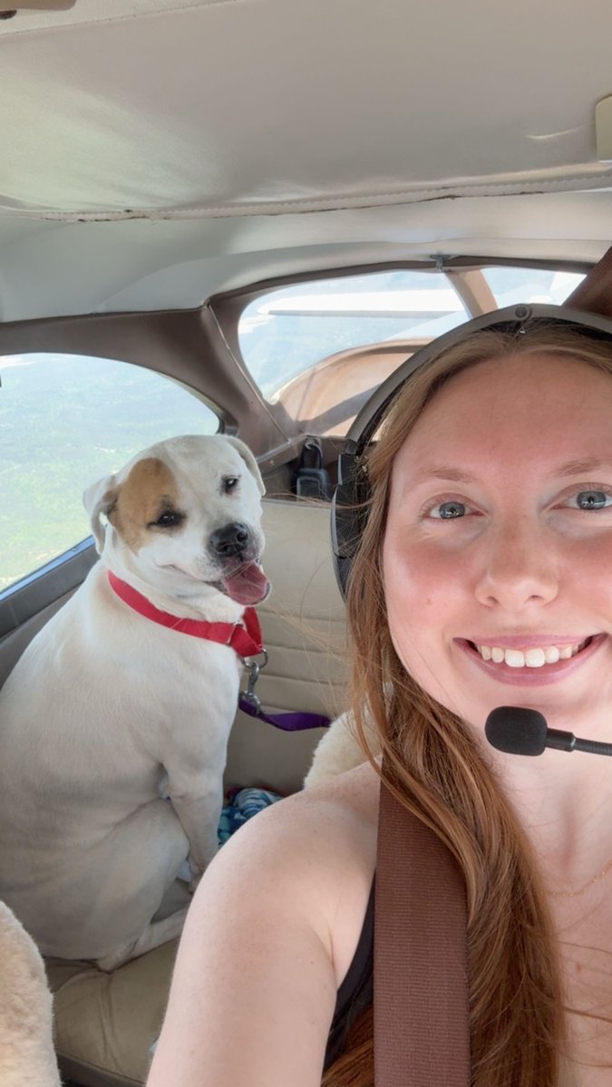 Pilots N Paws tweet media