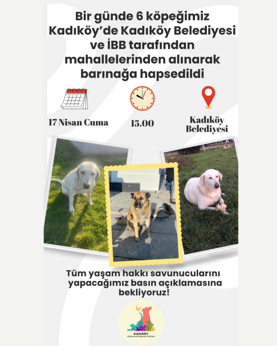 Kadıköy Kent Dayanışması tweet media