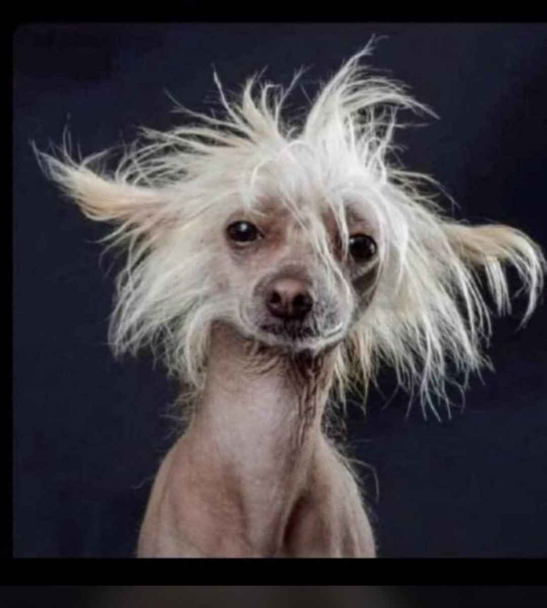 Uche🫡 tweet media