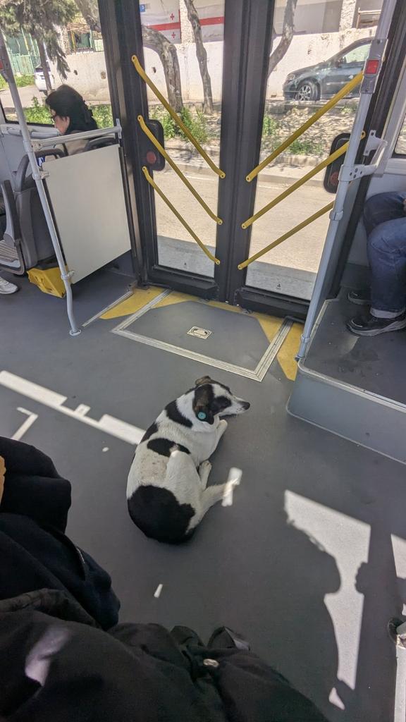 Njanjata tweet media