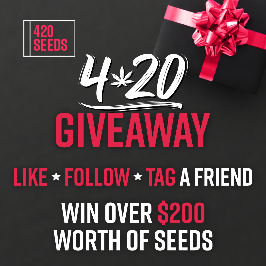 420 Seeds tweet media