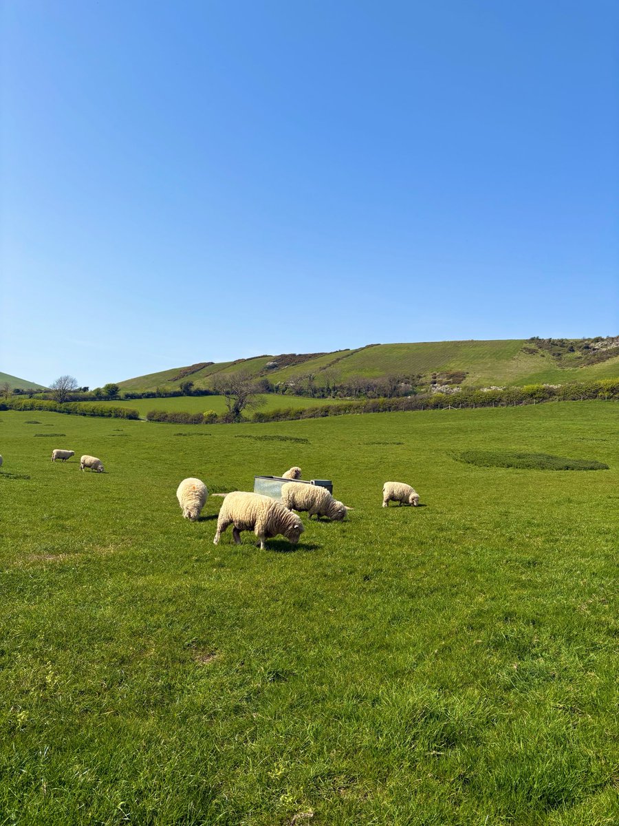 ありす🩵🇱🇨 tweet media