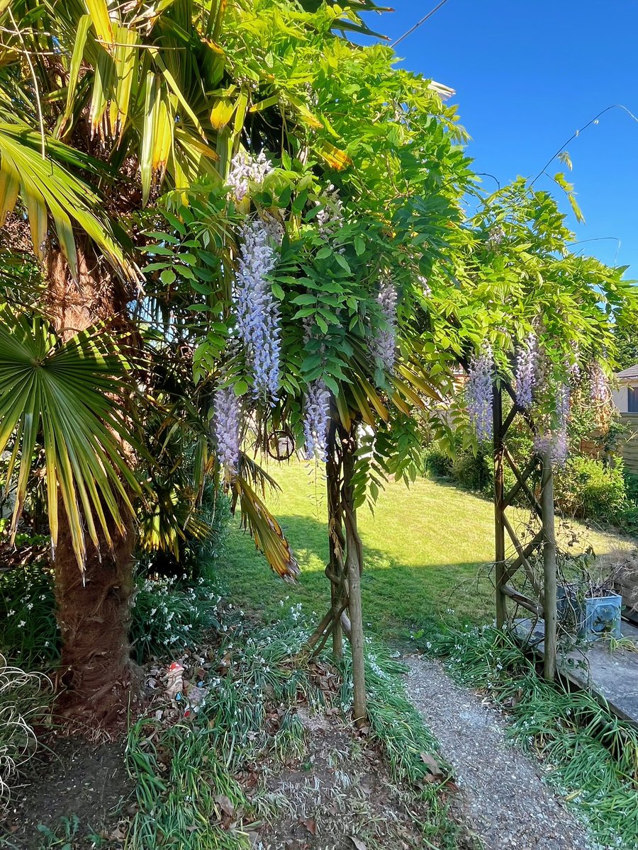 ありす🩵🇱🇨 tweet media